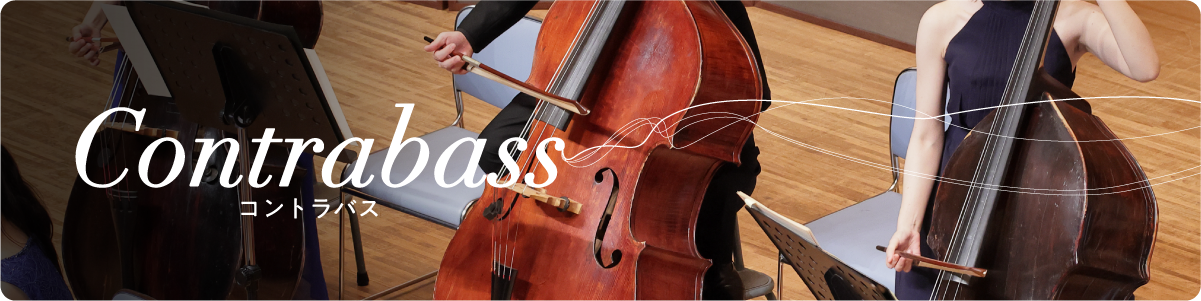 Contrabass コントラバス